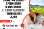 Znakomita działka z potencjałem w Dzwierzchnie, Złotniki Kujawskie – blisko lasów i jezior!