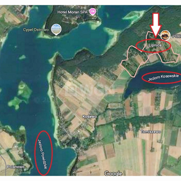 Działka blisko Powidza, wśród Jezior i lasów - kilka minut pieszo do jeziora na plażę
