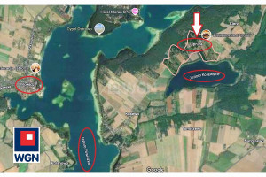 |Działka blisko Powidza, wśród Jezior i lasów - kilka minut pieszo do jeziora na plażę