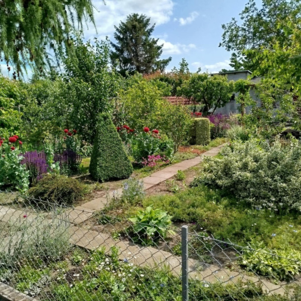 Na sprzedaż ogródek działkowy Inowrocław ROD "Jarzynka" 250m2