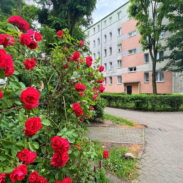 Dwustronne 63m2 z balkonem przy ul. Łokietka