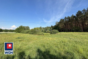 |* Działka Rolna z Lasem i Stawem  * Dąbrowa Biskupia * 