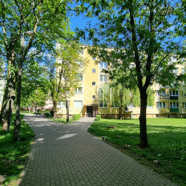 Oś. Piastowskie * wygodne i przytulne 2-pokojowe mieszkanie do zamieszkania ! Idealne na start dla Młodych lub gotowa inwestycja pod wynajem !