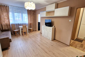 |Kawalerka na parterze