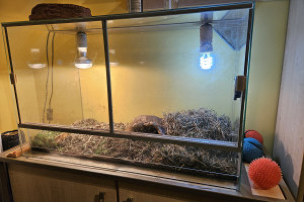 |Terrarium dla żółwia 