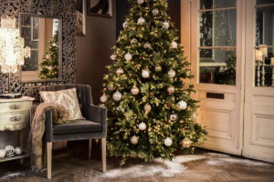 |Na sprzedaż mieszkanie w zabytkowym budynku w Liszkowie 