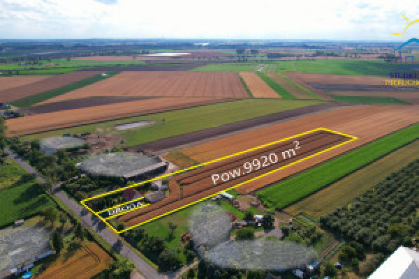 |Urokliwy dom w otoczeniu natury (80m2) Jaksice