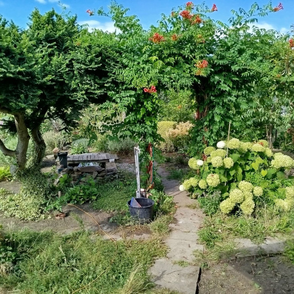 Na sprzedaż ogródek działkowy ROD "Jarzynka" – ul. Poznańska, 250m²