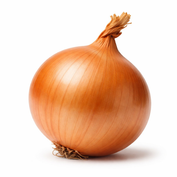 Praca – obieranie cebuli (akord) 