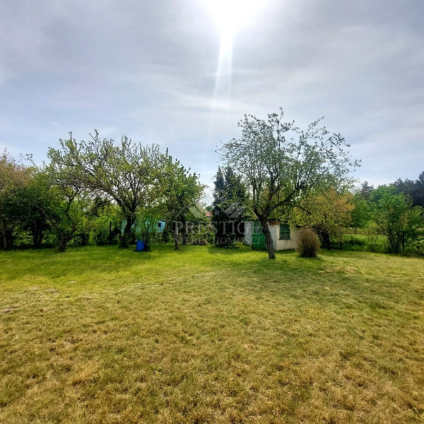 Działka ROD 800 m2 z widokiem na las w Piechcinie