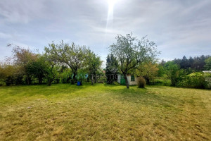 |Działka ROD 800 m2 z widokiem na las w Piechcinie