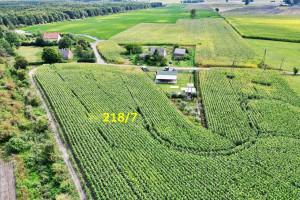 |Uzbrojona działka z WZ przy lesie z ogromnym potencjałem!