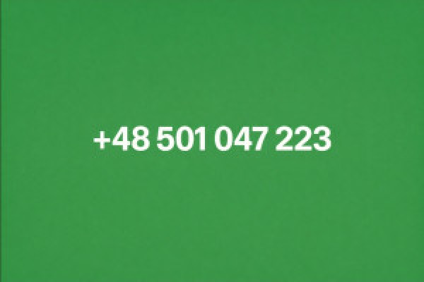 |🚀 KOMPLEKSOWA OFERTA: KARTY SIM, eSIM, STRONY WWW, SKLEPY INTERNETOWE I MARKETING INTERNETOWY