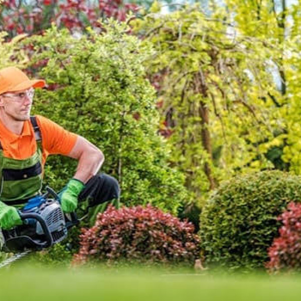 szukam pracy dodatkowe 