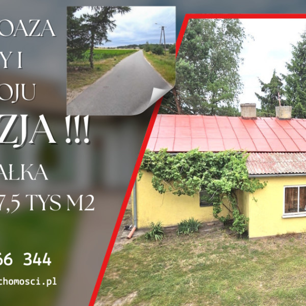 Dom z potencjałem pośród natury – Twoja oaza ciszy i spokoju