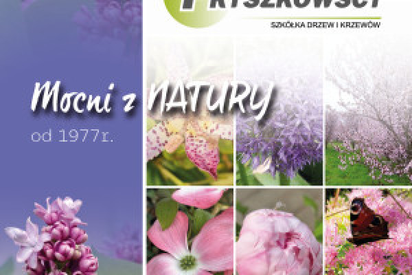 |Zatrudnię do obsługi sklepu internetowego