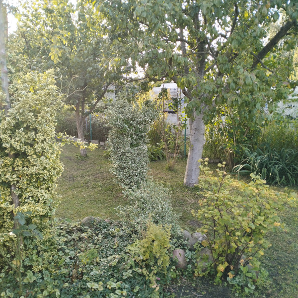 Działka ROD na sprzedaż – ul. Szosa Bydgoska | Altana murowana | 300 m²