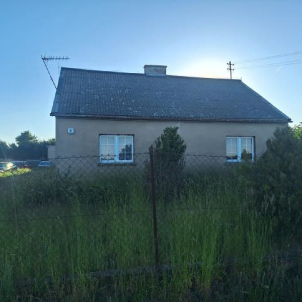Dom 100m2 + budynki gospodarcze na działce 2007m2 w Dziennicach