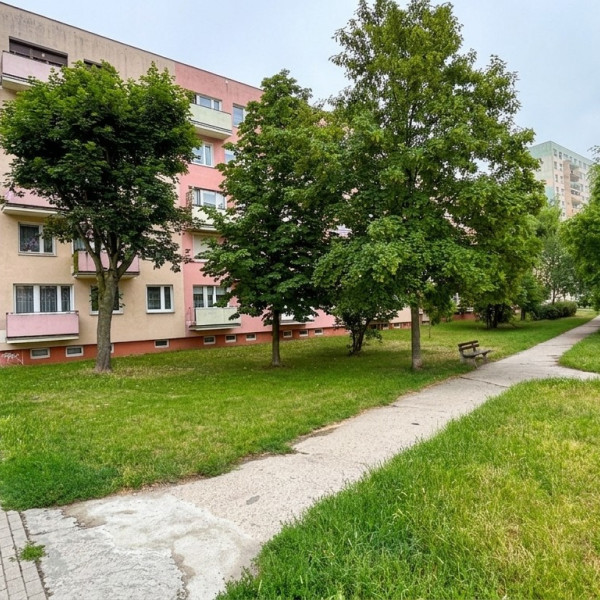 *** Okazja! 3 Pokojowe mieszkanie 61m2 w bloku przy Al. Niepodległości, ale wgłębi osiedla z ładnym widokiem ***