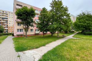 |*** Okazja! 3 Pokojowe mieszkanie 61m2 w bloku przy Al. Niepodległości, ale wgłębi osiedla z ładnym widokiem ***