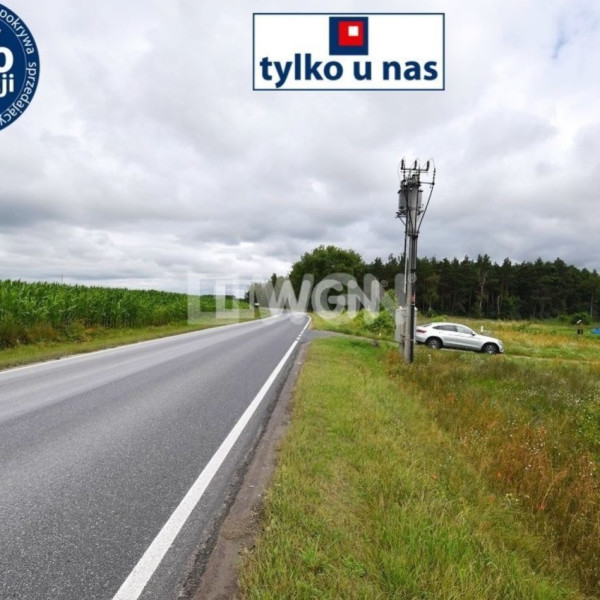 * Działki w Ludkowie k/Pakości z wydanymi warunkami zabudowy-Cena tylko 60zł/m2-woda i prąd przy działce *