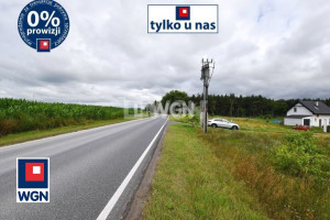 |* Działki w Ludkowie k/Pakości z wydanymi warunkami zabudowy-Cena tylko 60zł/m2-woda i prąd przy działce *