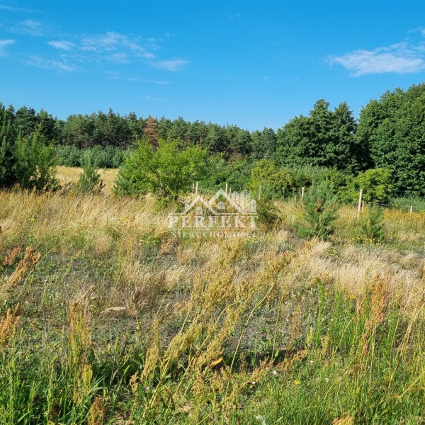 Atrakcyjna działka | Ludkowo k.Pakości | 855m2 | wydane warunki zabudowy | skrzynka energetyczna z prądem  | gotowa do zabudowy  | sąsiedztwo budujących się nowych domków