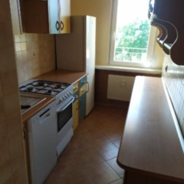 Mieszkanie 49 m² na wynajem – Inowrocław, ul. Kleeberga 9