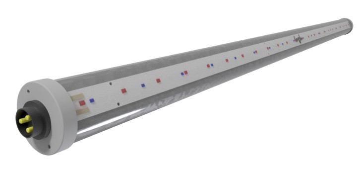 zdjecie3-lampyleddoroslin