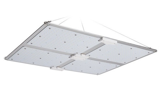 zdjecie2-lampyleddoroslin