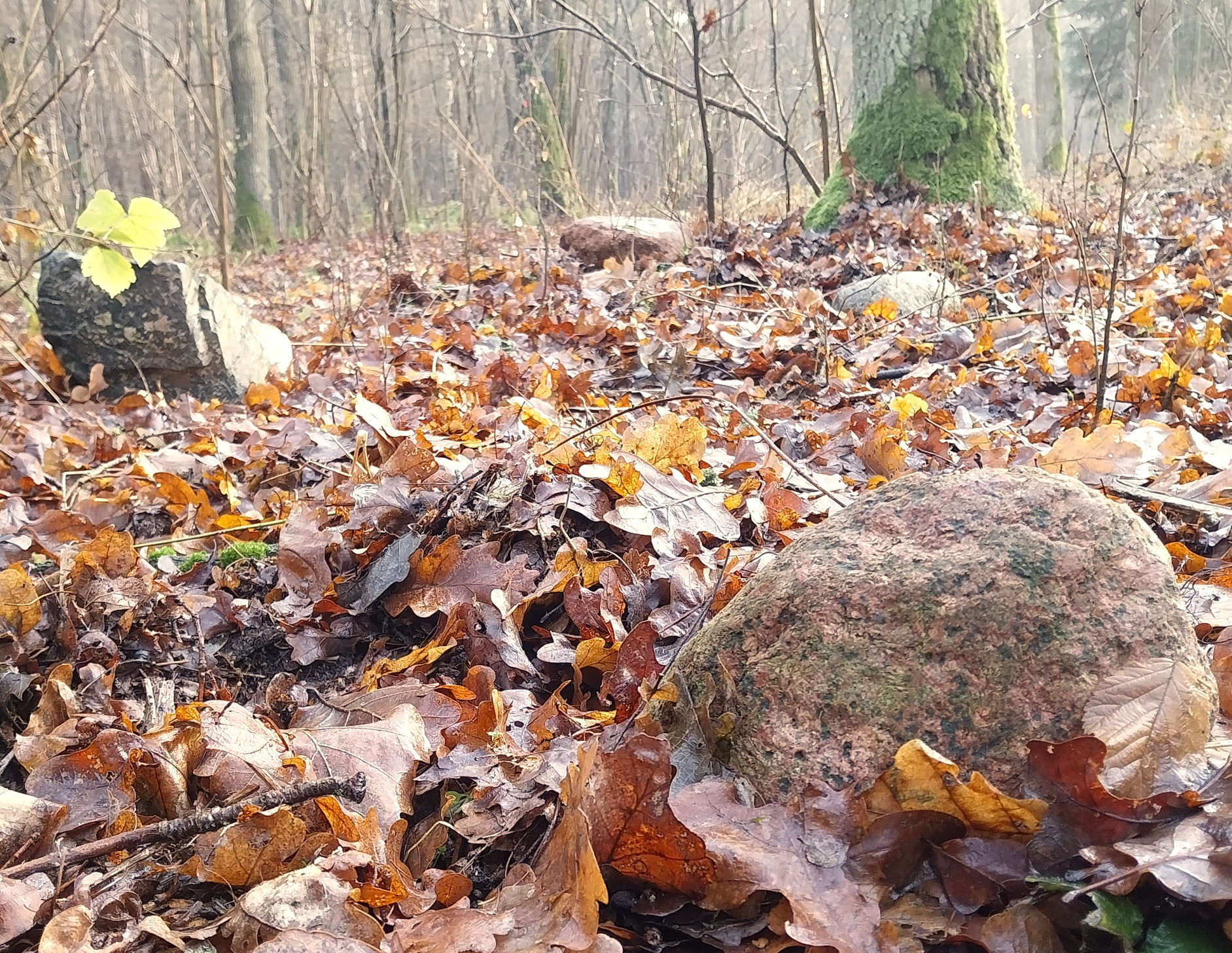 2024-12-29-15-51-51-250