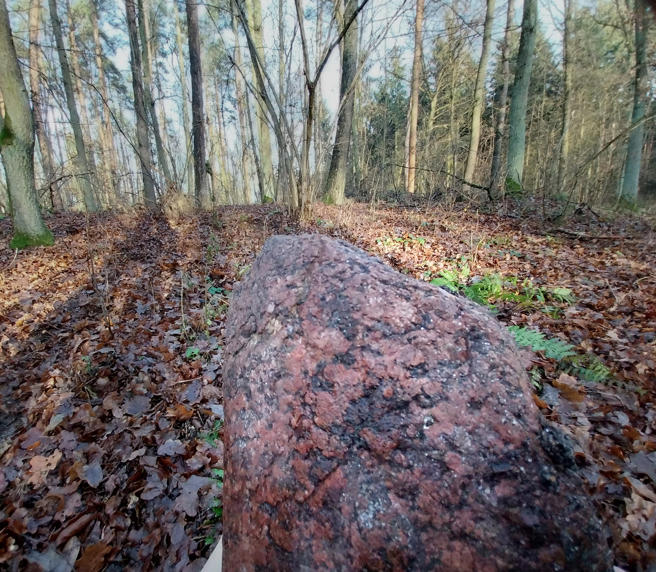 2024-12-29-15-59-10-853