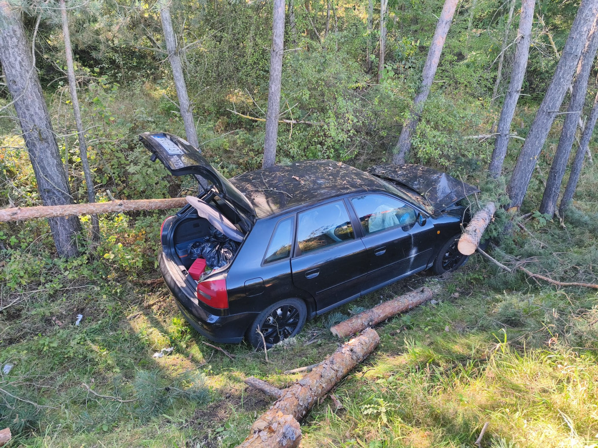 audi1