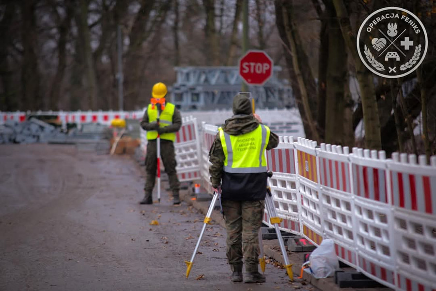 feniks12.max-900x900.format-webp-lossless