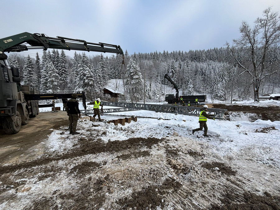 feniks8.max-900x900.format-webp-lossless