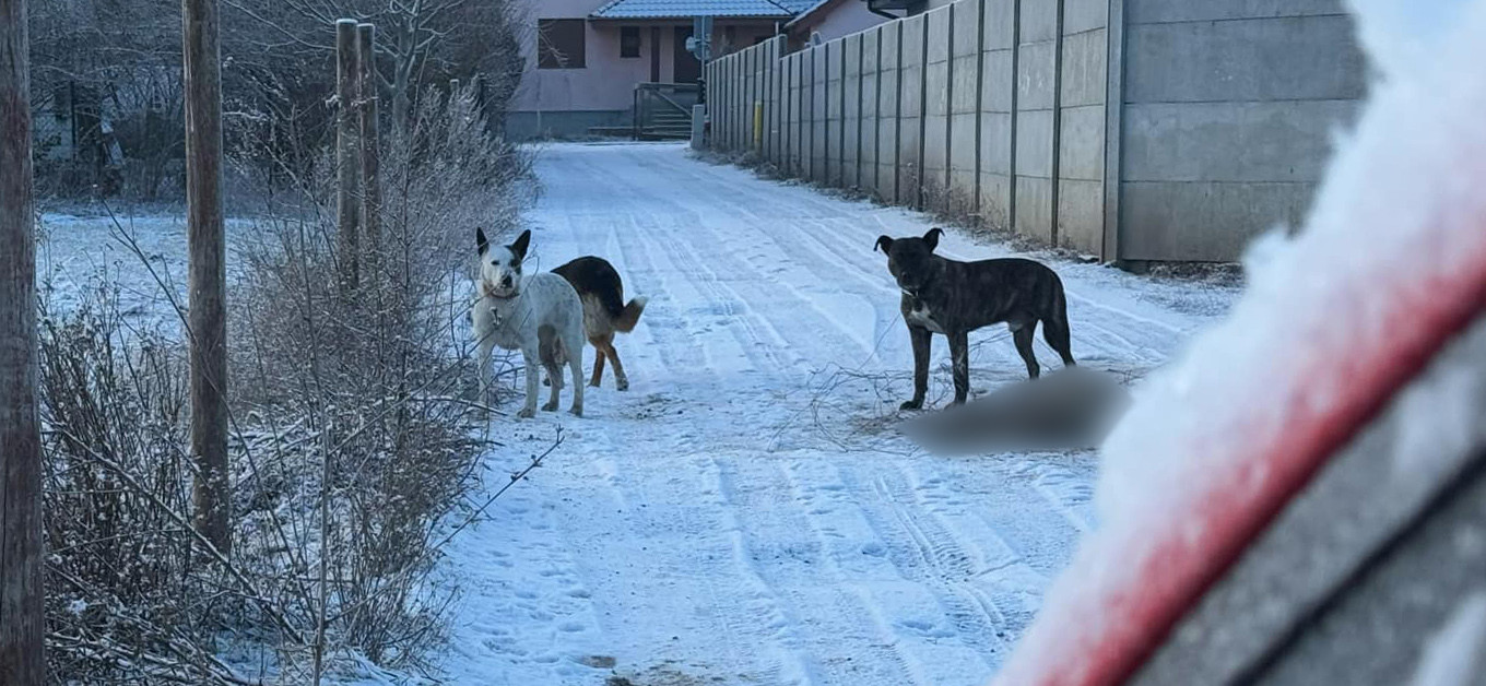 dbd11a48-3hhh68c-49f3-ba26-747346cd1e9f