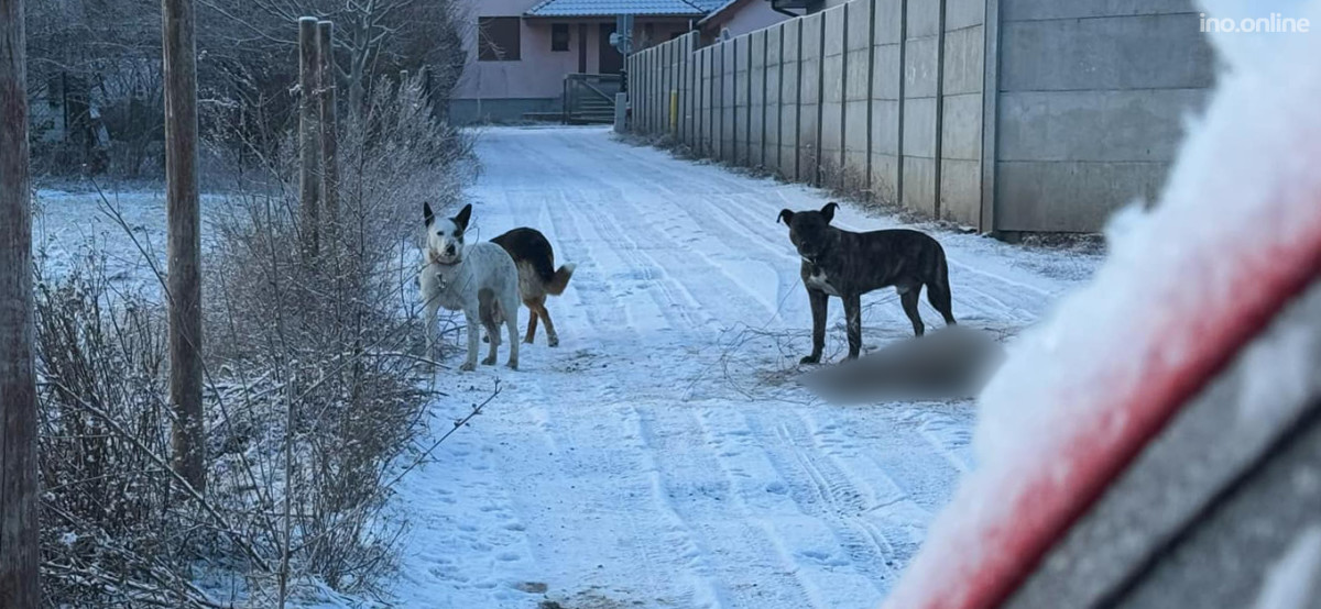 dbd11a48-3hhh68c-49f3-ba26-747346cd1e9f