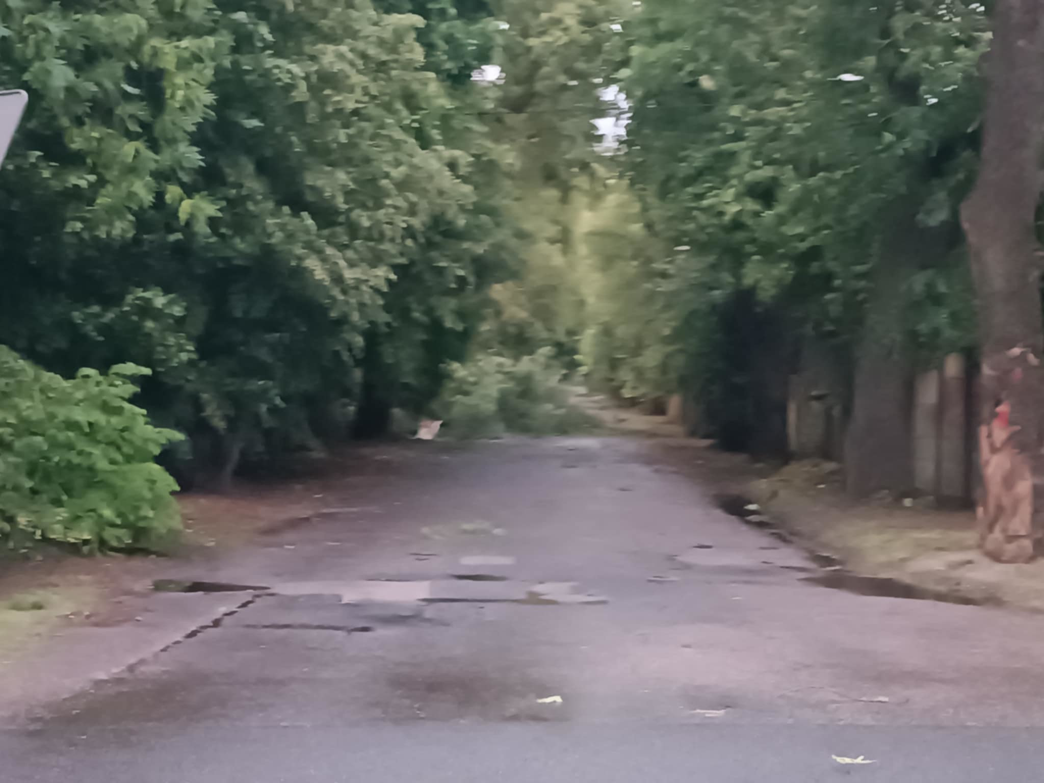 ef5ccd5f-655c-4458-aea5-0b803fb8b240