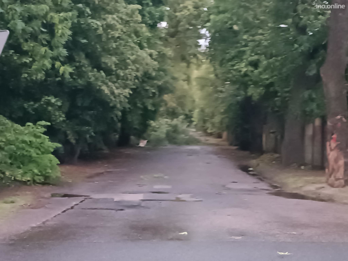 ef5ccd5f-655c-4458-aea5-0b803fb8b240