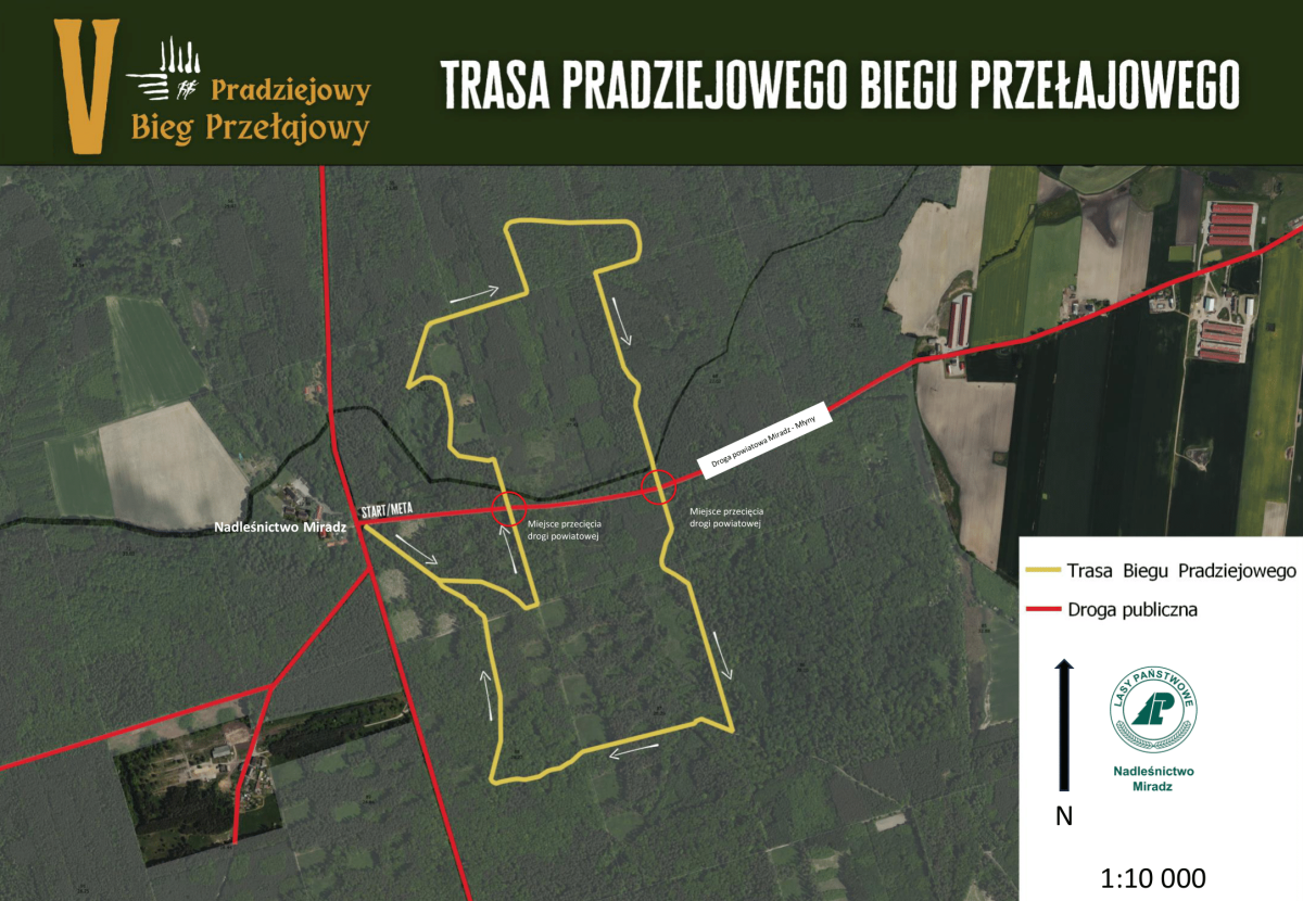 Mapa z przebiegiem trasy V Bieg