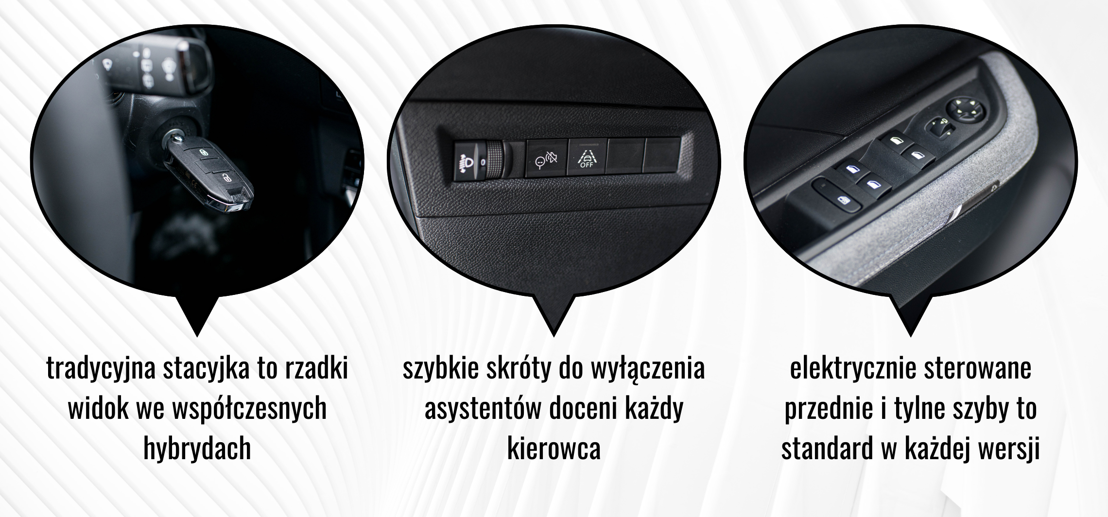 Kopia – OKIENKA NIEZLEAUTA