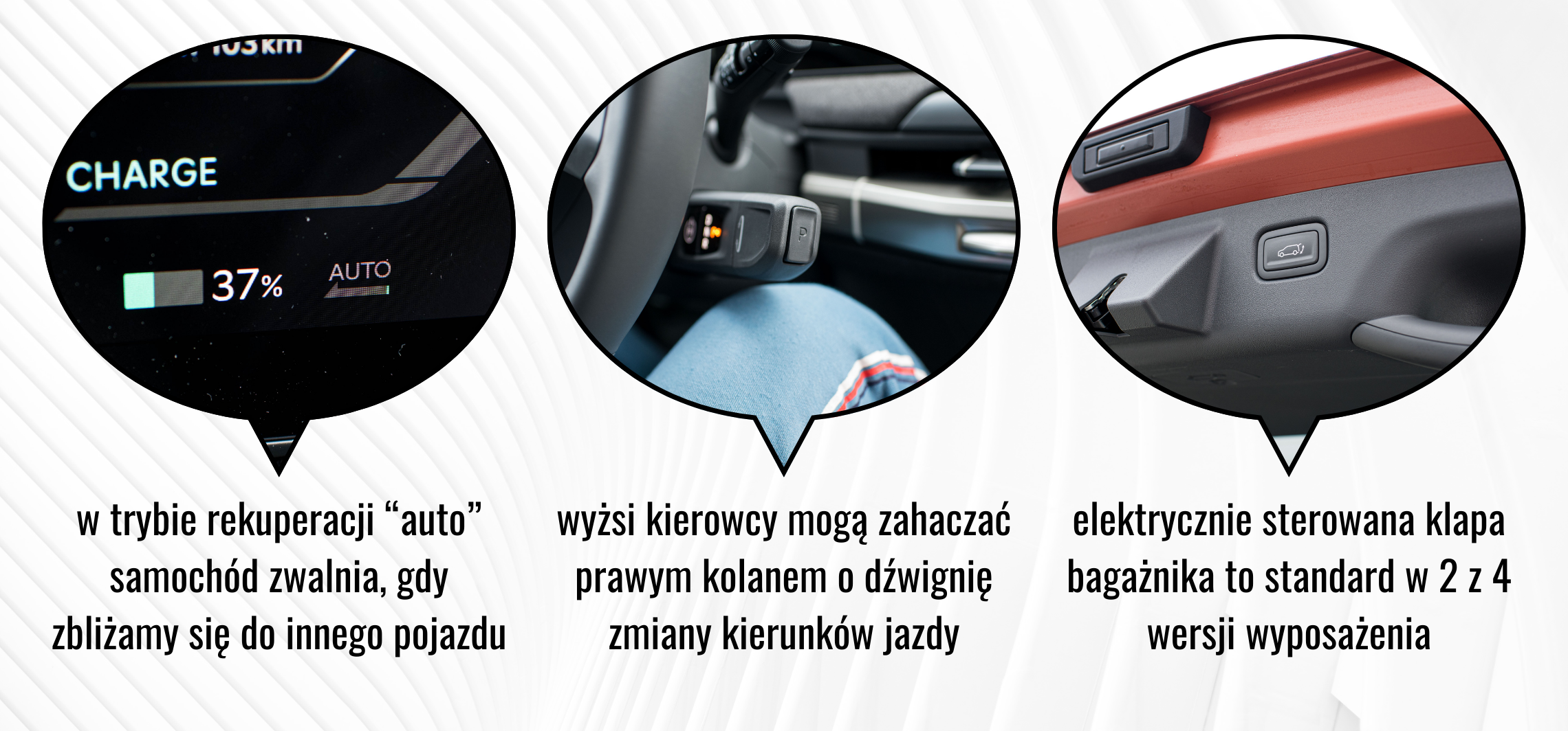 Kopia – OKIENKA NIEZLEAUTA (2)