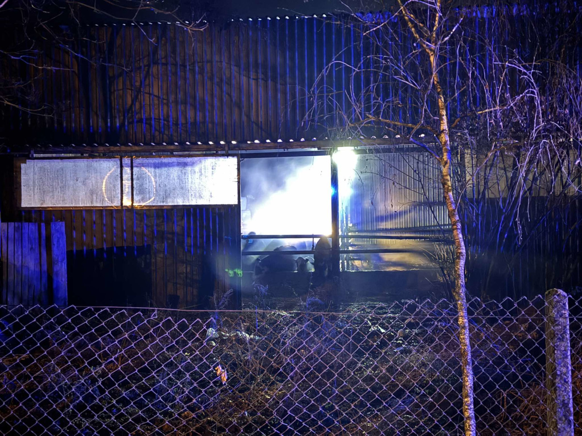 619208328_1776928522994085_7070401402346383714_n