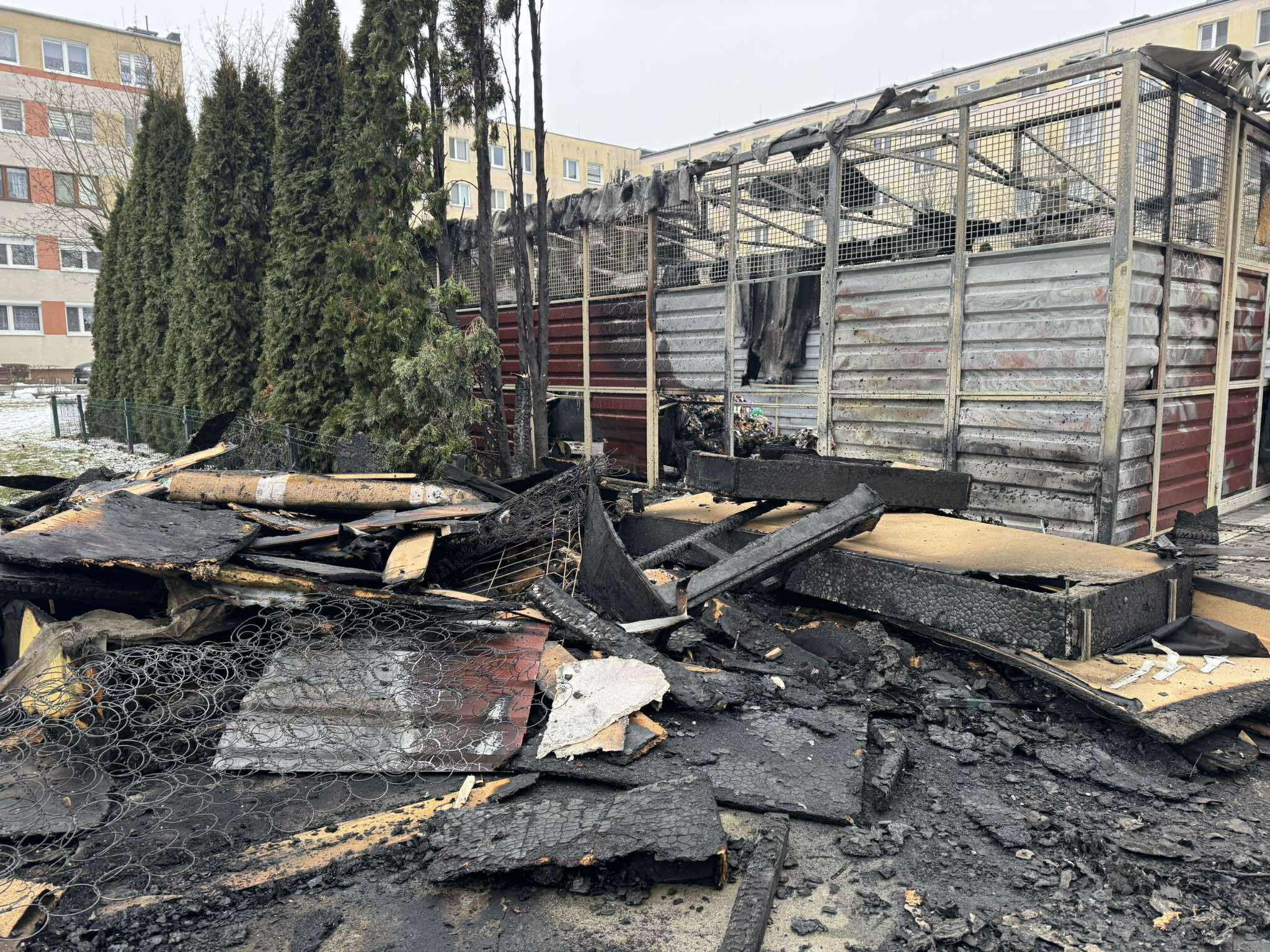 618491713_1235850628493789_2930747769991623368_n