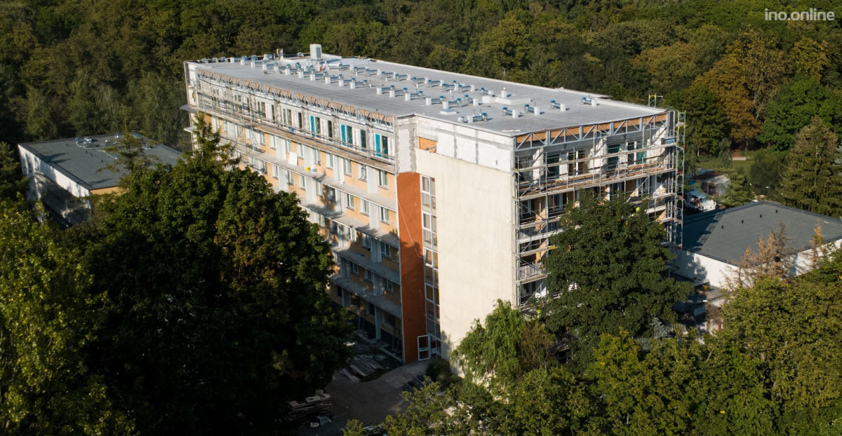 modrzew