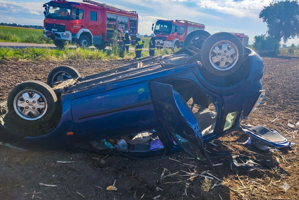 Gemini_Generated_Image_2c08cs2c08cs2c08