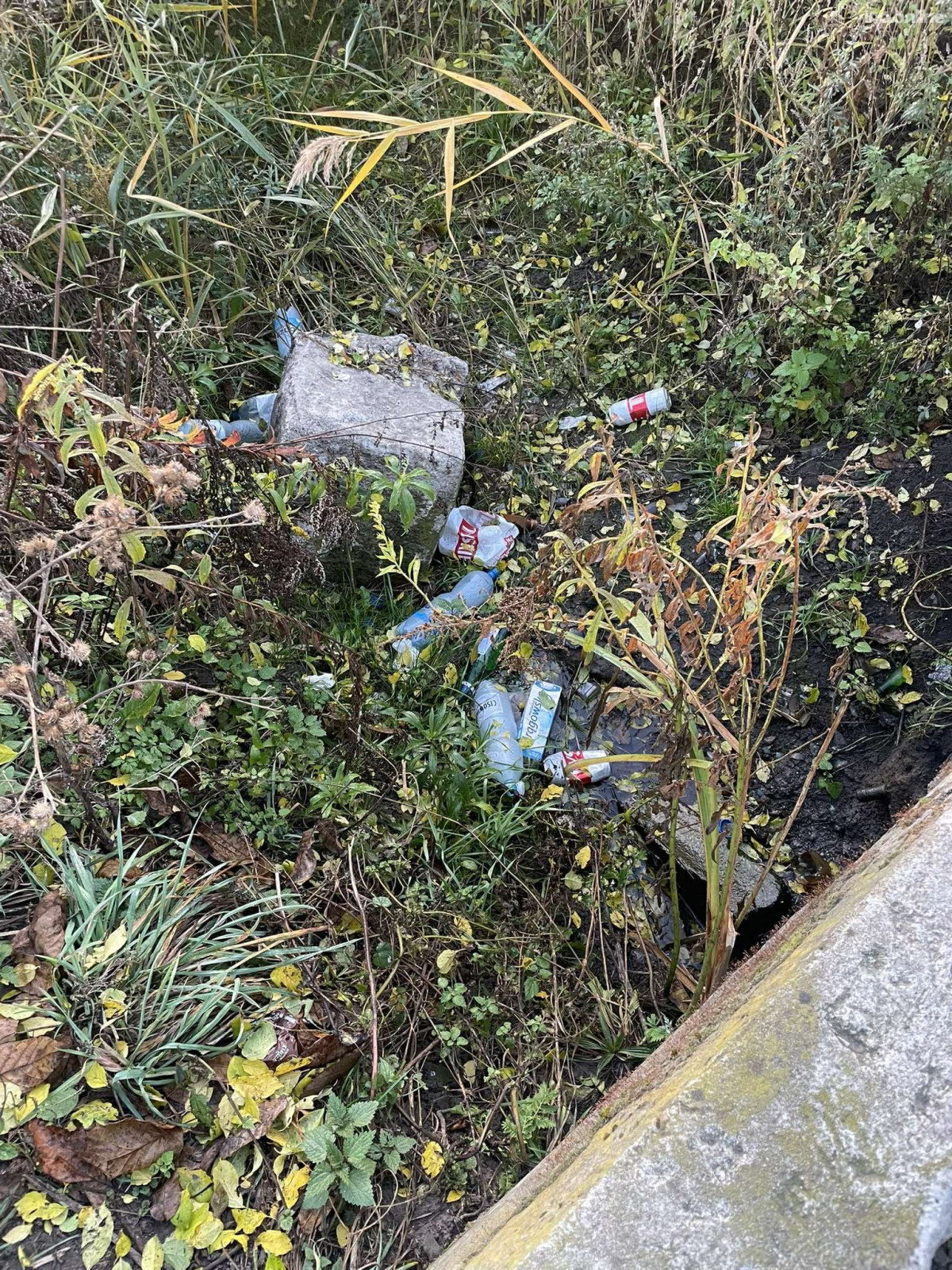 c0194e3e-f1a3-4251-9004-066cbdf99d8b