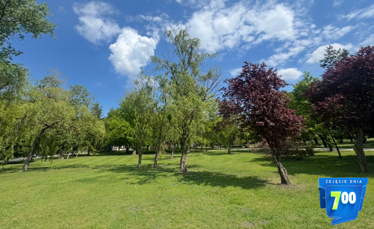 parksolankowy
