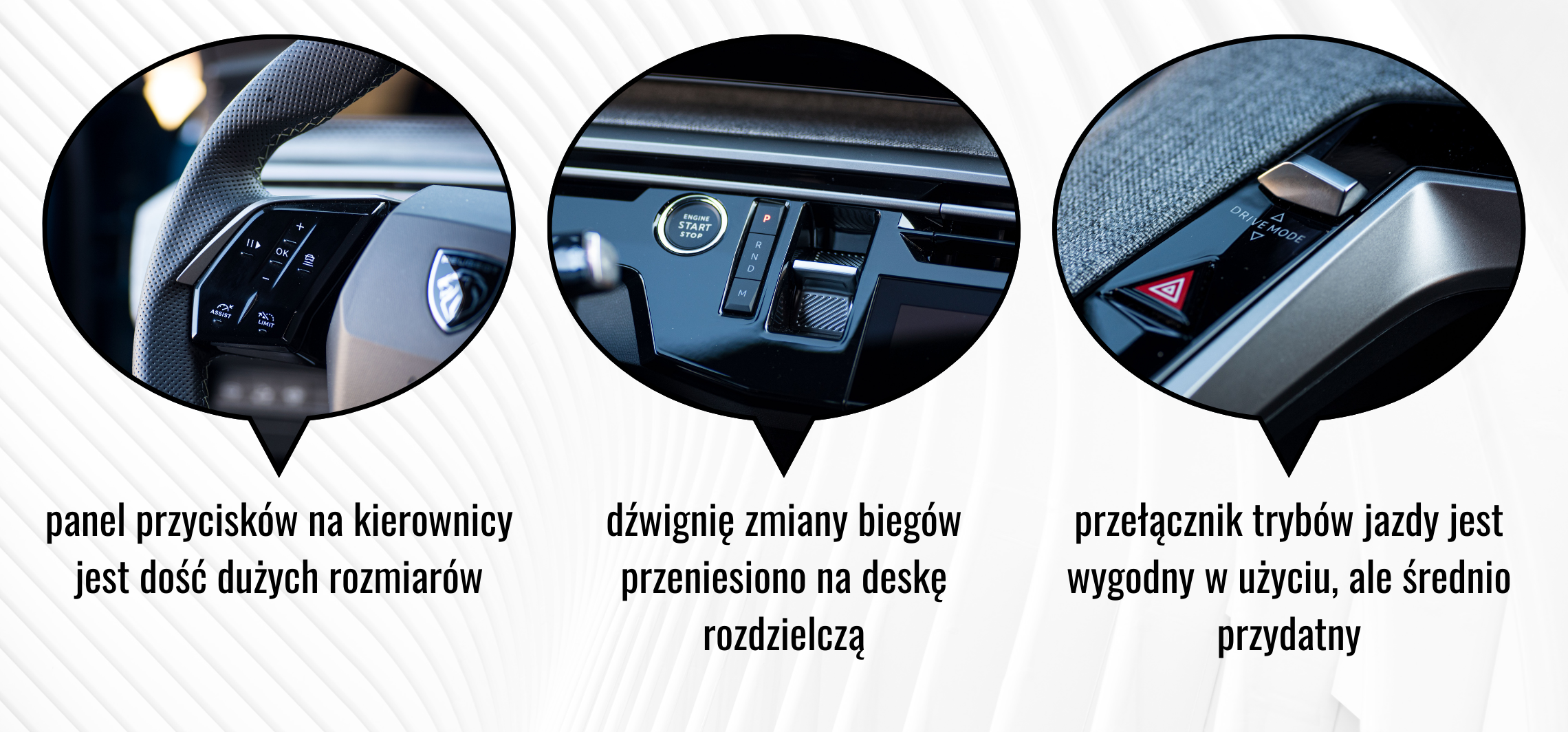 Kopia – OKIENKA NIEZLEAUTA