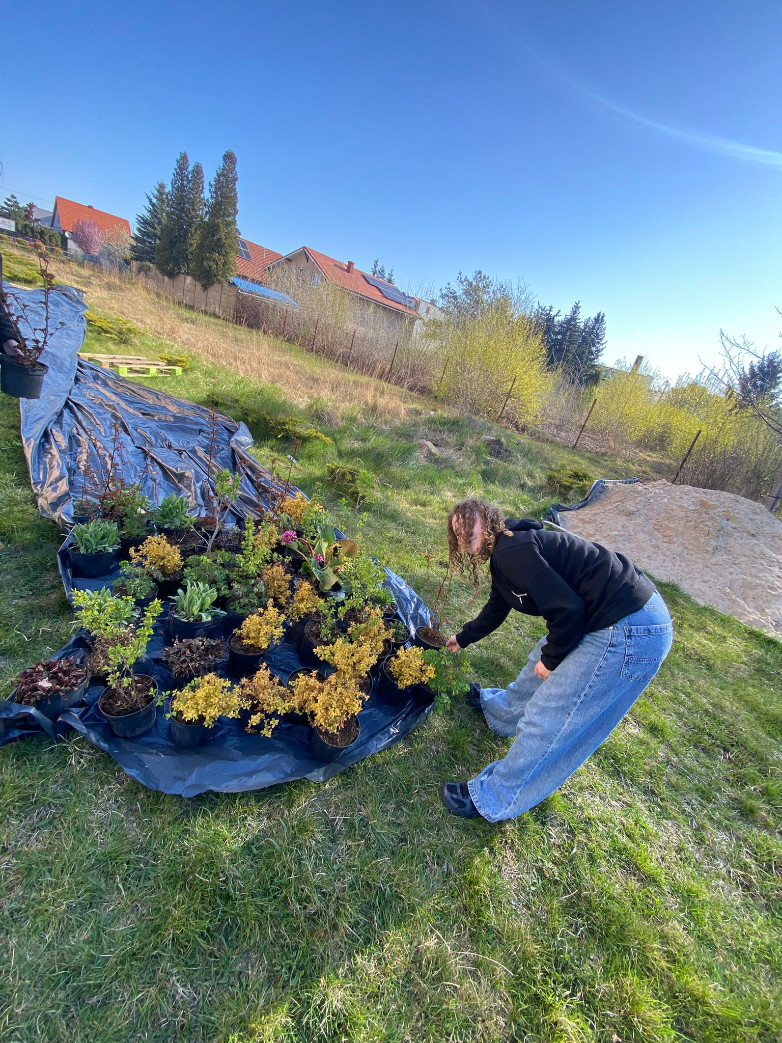 6b9887ea-b3dd-4510-b418-c0f279f5fc5a